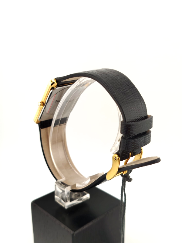 Paul Watch Tank Vintage Full Set Nuovo NOS